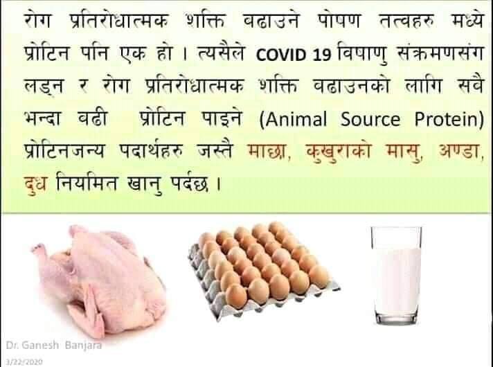 ‘अण्डा र मासु नबारौं’– कृषि विज्ञ